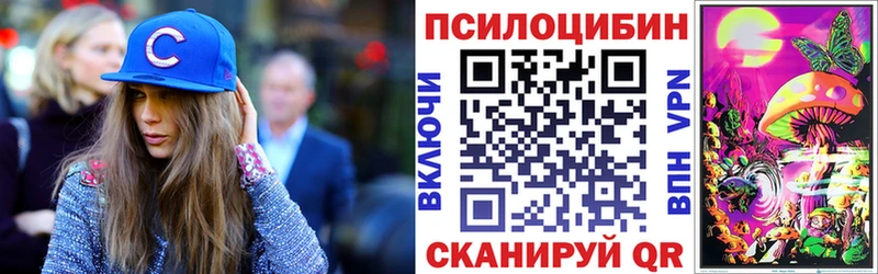 Псилоцибиновые грибы MAGIC MUSHROOMS  darknet наркотические препараты  Николаевск 